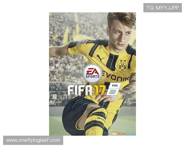 体育足球赛事英语介绍（关于足球赛的英文）sports